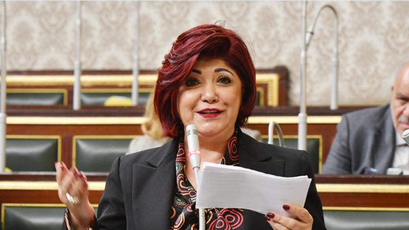النائبة نورا على