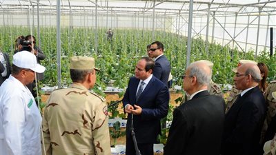 7 سنوات في زراعة الخيرات | 