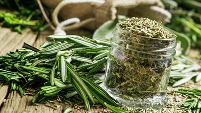 يقوي المناعة.. إليكِ 10 فوائد مذهلة للروزماري 