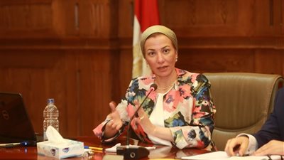 د.ياسمين فؤاد: مصر لها بصمة في خروج اتفاقيات بيئية ومبادرات دولية إلى النور