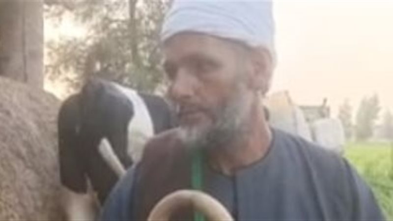البقرة بدل النيش