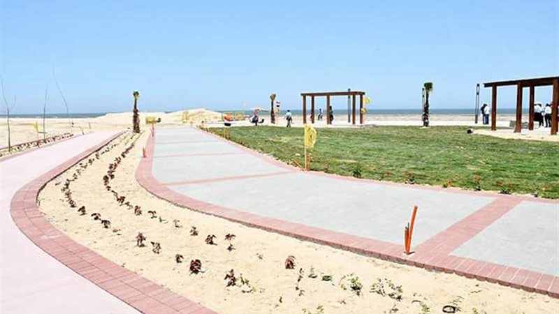 هير نيوز