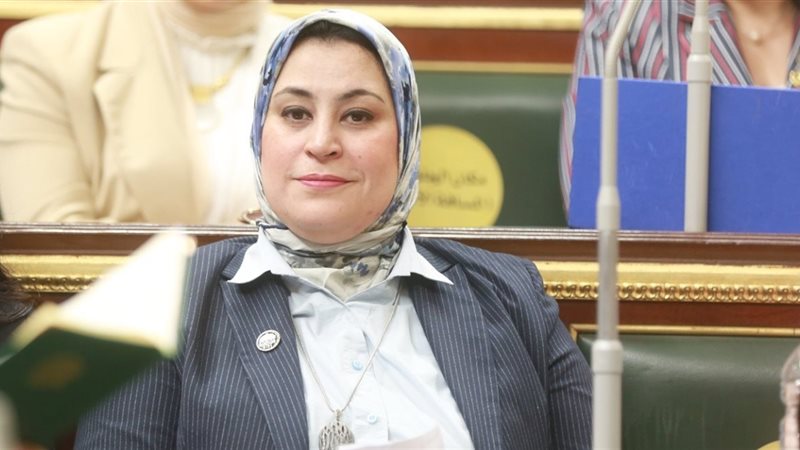 النائبة ولاء التمامي