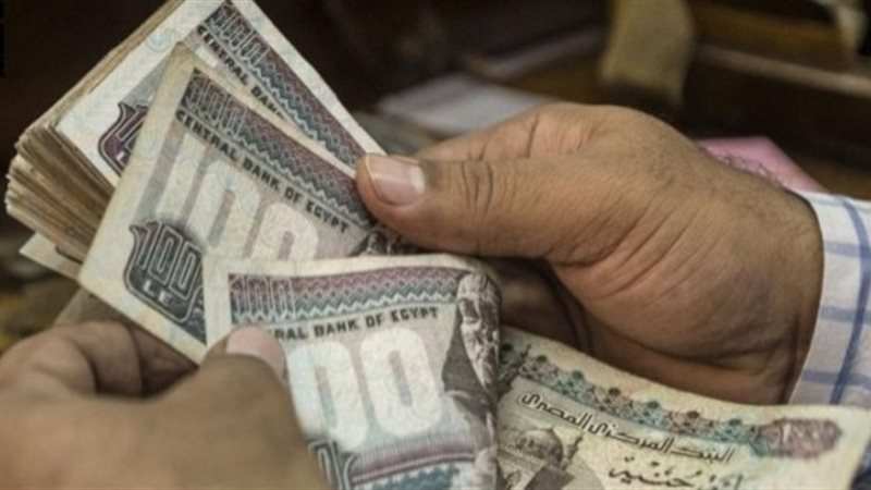 رضا عبد القادر رئيس