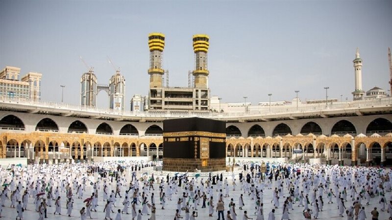 هير نيوز