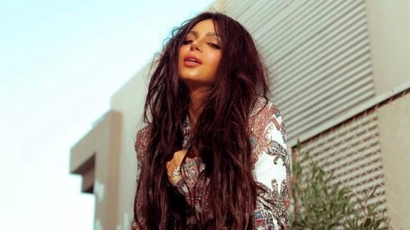 الفنانة نسرين امين