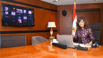 المصريون في كينيا لوزيرة الهجرة: صدّروا لنا الدواء وانقلوا خبرة الأطباء والصيادلة 