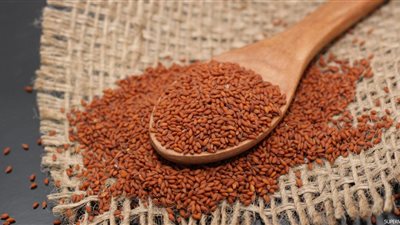 أبرزها «تنظيم الدورة الشهرية».. 5 فوائد لبذور حب الرشاد للنساء 