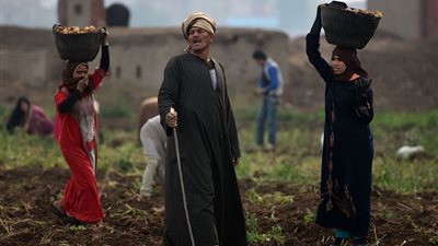ما حُكم عدم توريث البنات؟.. لجنة الفتوى تُجيب