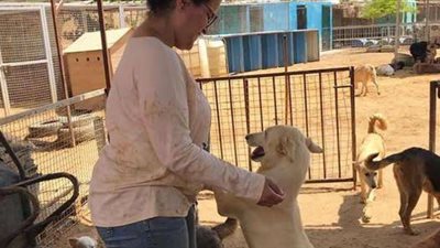 هل تربية الكلب بالمنزل حلال؟.. دار الإفتاء تُجيب