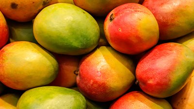 الزراعة: المانجو المطروحة بالأسواق بشائر وانتظروها أوائل أغسطس