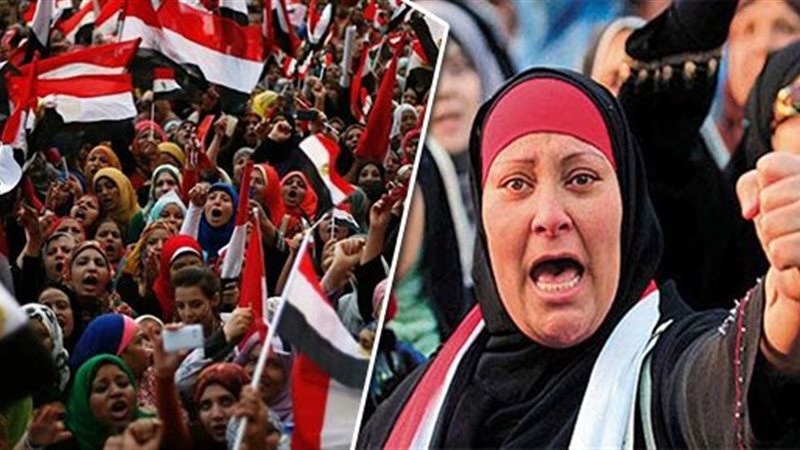 هير نيوز