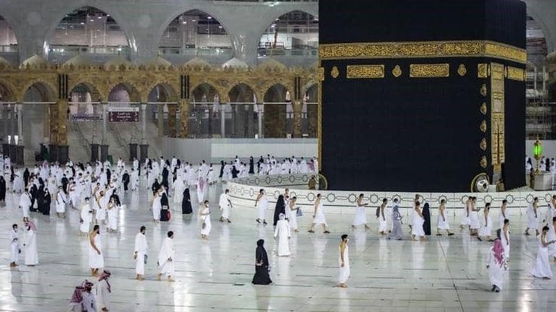 هير نيوز