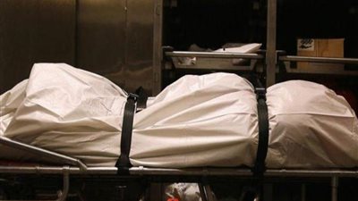 أخرة الاستهتار.. شاب يدهس أسرة بسيارته في الدقهلية ومصرع طفلة 