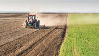 رئيس الوزراء: إنشاء 333 مجمعًا زراعيًا في القرى 