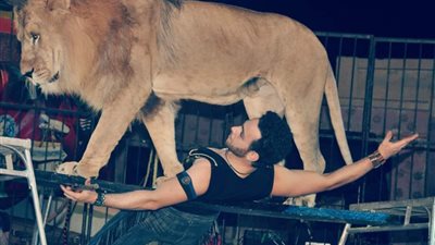 عيدي مع الأسود.. فقرات عالمية بسيرك جمال الحلو في العيد 