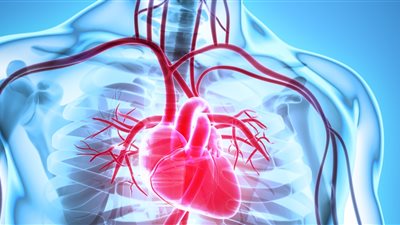 10 طرق لعلاج قصور الشرايين التاجية