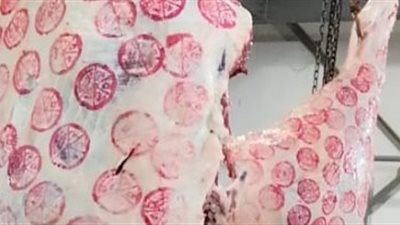 بمناسبة عيد الأضحى.. الزراعة تطرح لحومًا وسلعًا غذائية بأسعار مخفضة