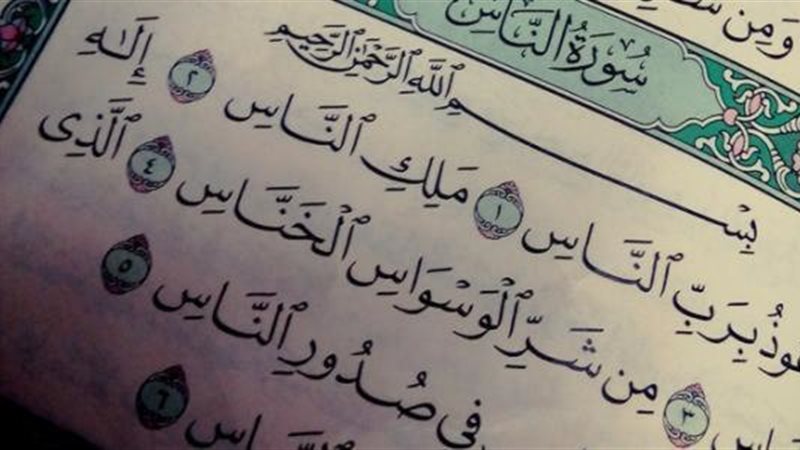 هير نيوز
