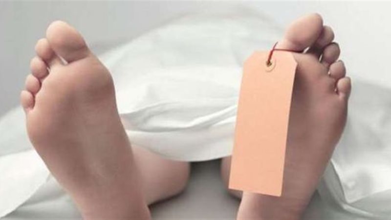 هير نيوز
