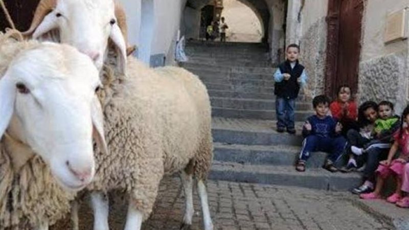 هير نيوز