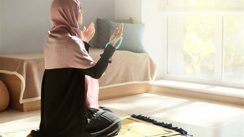هير نيوز
