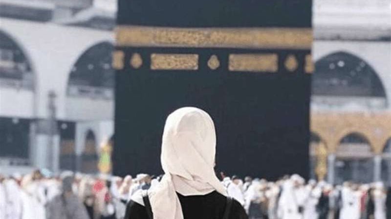 هير نيوز