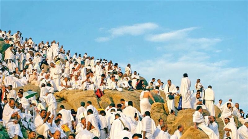 هير نيوز