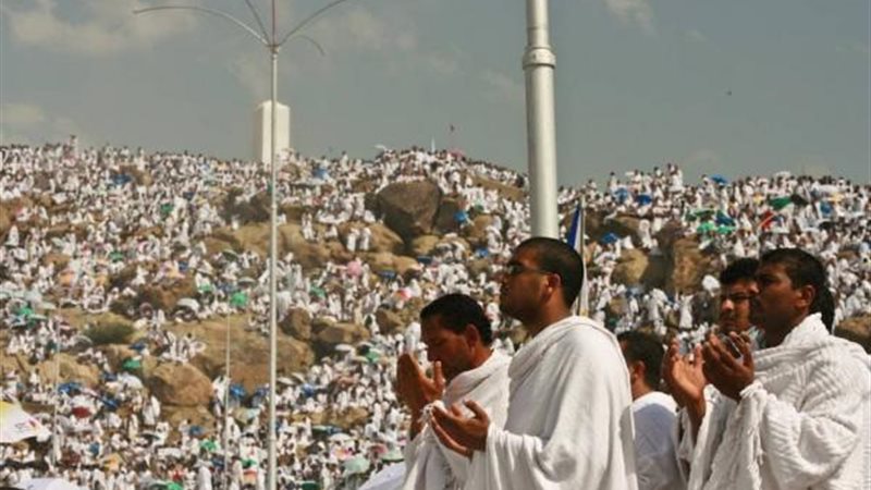 هير نيوز