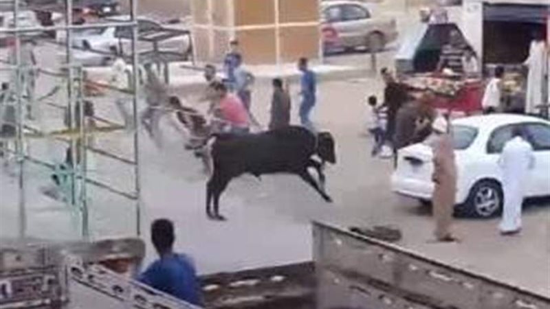 هير نيوز