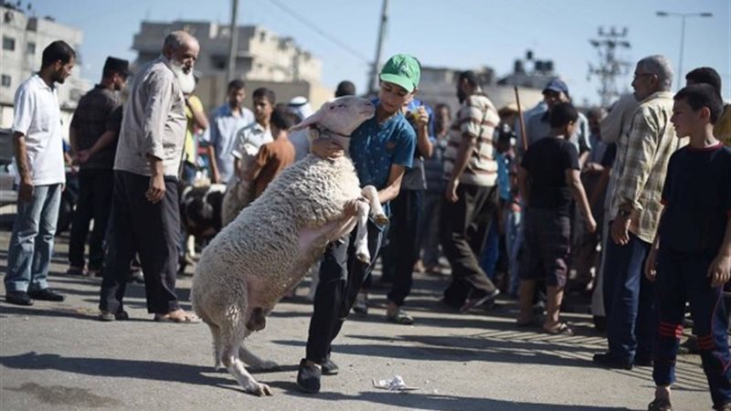عيد الأضحى في غزة