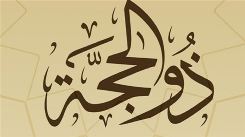 هير نيوز