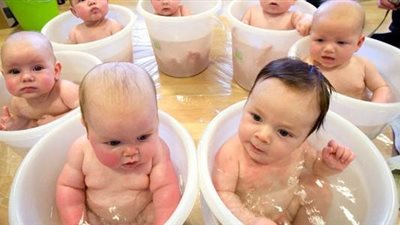 أحمد عمر هاشم يوضح ضوابط الإنجاب بعمليات أطفال الأنابيب