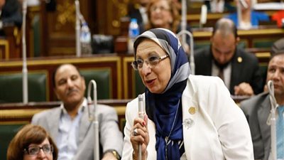 برلمانية: «مراكب النجاة» ساهمت في القضاء على الهجرة غير الشرعية