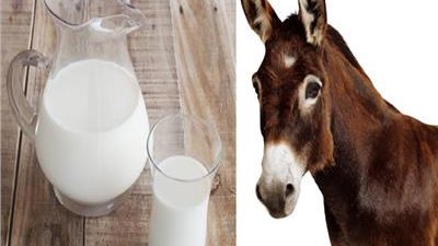 تعرفي على فوائد 