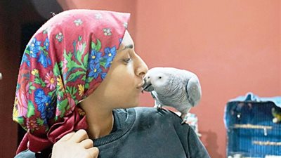 هوايتك تربية العصافير؟.. 7 خطوات لحماية الطيور من حرارة الجو