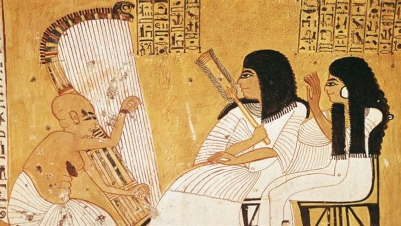 هير نيوز