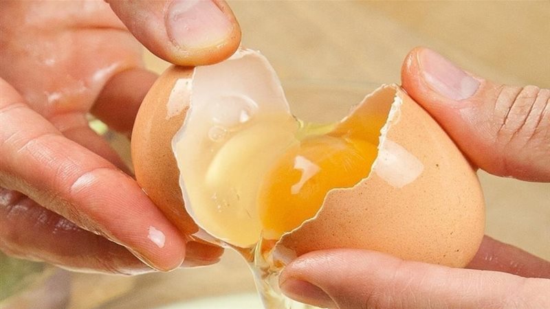 معرفة البيض الفاسد