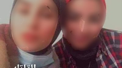 صداقة غادرة.. آخر ما كتبته قتيلة كفر الدوار لصديقتها المتهمة: حبيبتي يا رب يخليكي ليا