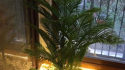 «عاشقة الورد».. «آية» قصة نجاح هزمت الإحباط بفن الديكور