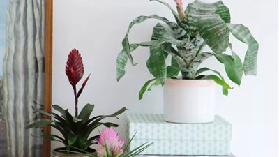 5 نصائح للديكور تجعل منزلك أكثر أناقة| صور