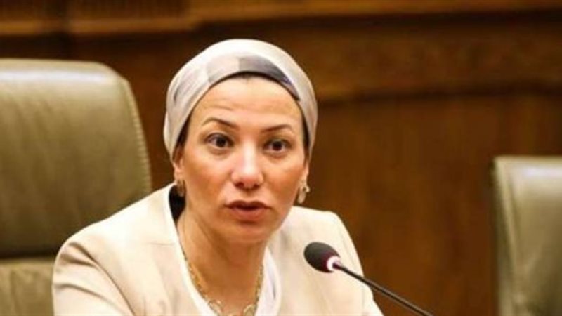 هير نيوز