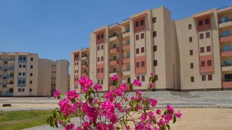 هير نيوز