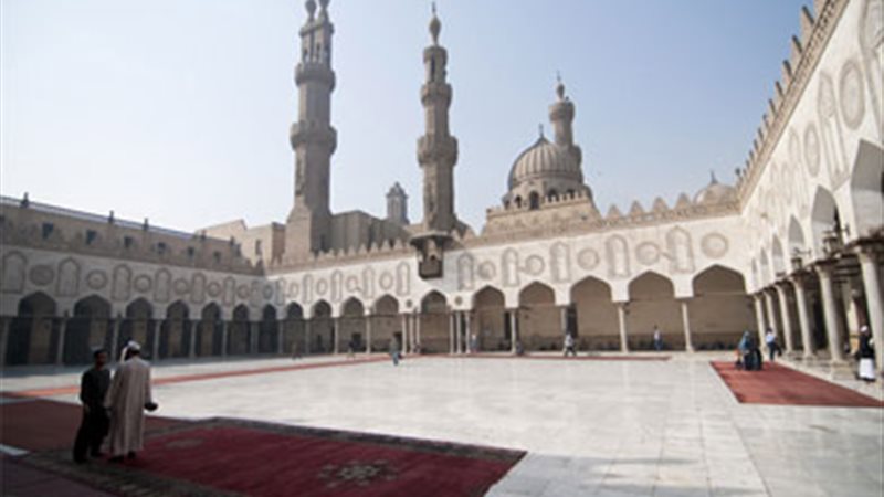 هير نيوز