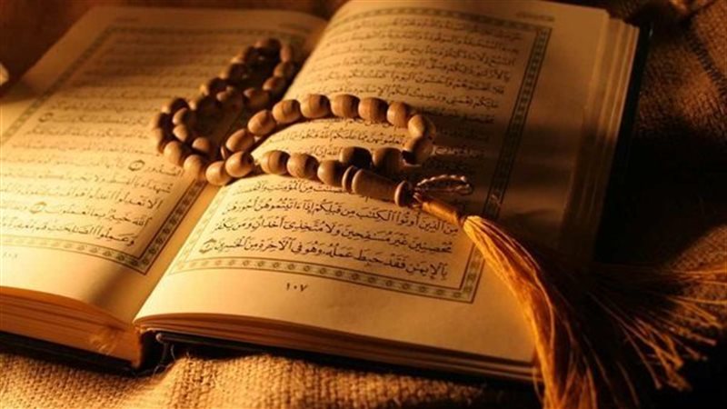 هير نيوز