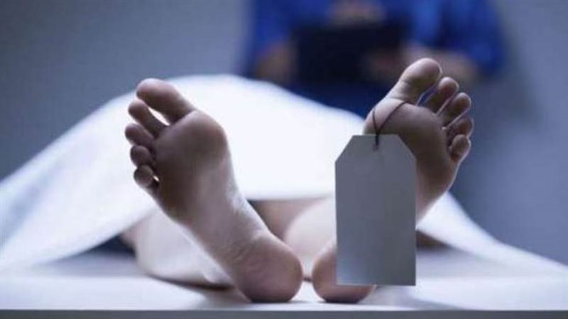 هير نيوز