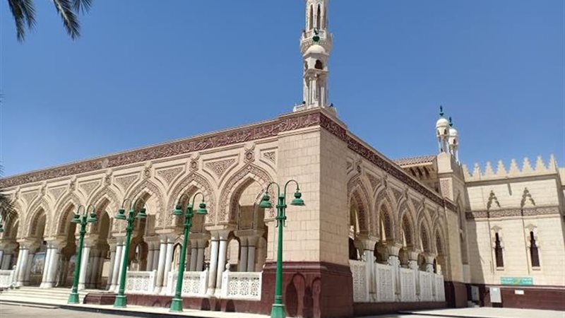 هير نيوز