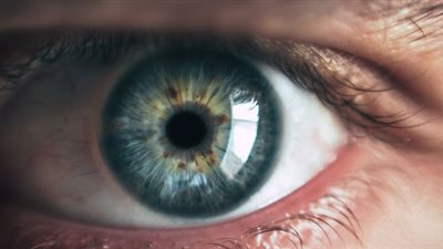 البداية من الشعر.. 5 علاجات طبيعية لعلاج إجهاد العين