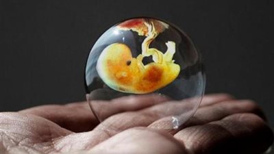 تجميد البويضات في عيون البنات.. وفاء: «هتحل مشاكل كثيرة» ومريم: «فكرة غير مقبولة في مجتمعنا»