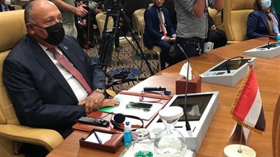 5 رسائل مصرية في اجتماع «دول جوار ليبيا» بالجزائر